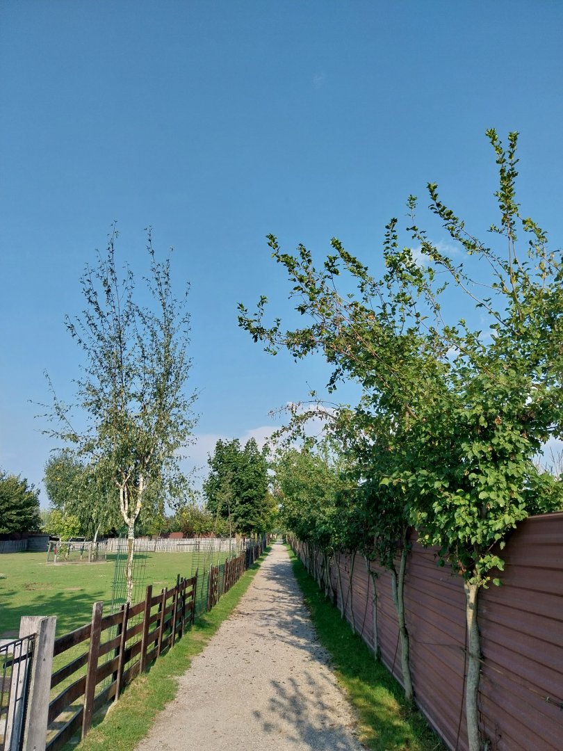 Wojciechow Zoo - General view