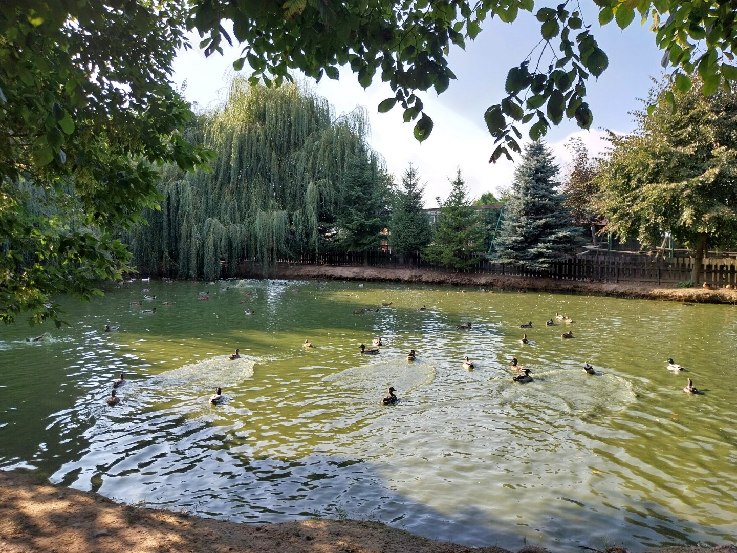 Wojciechow Zoo - General view