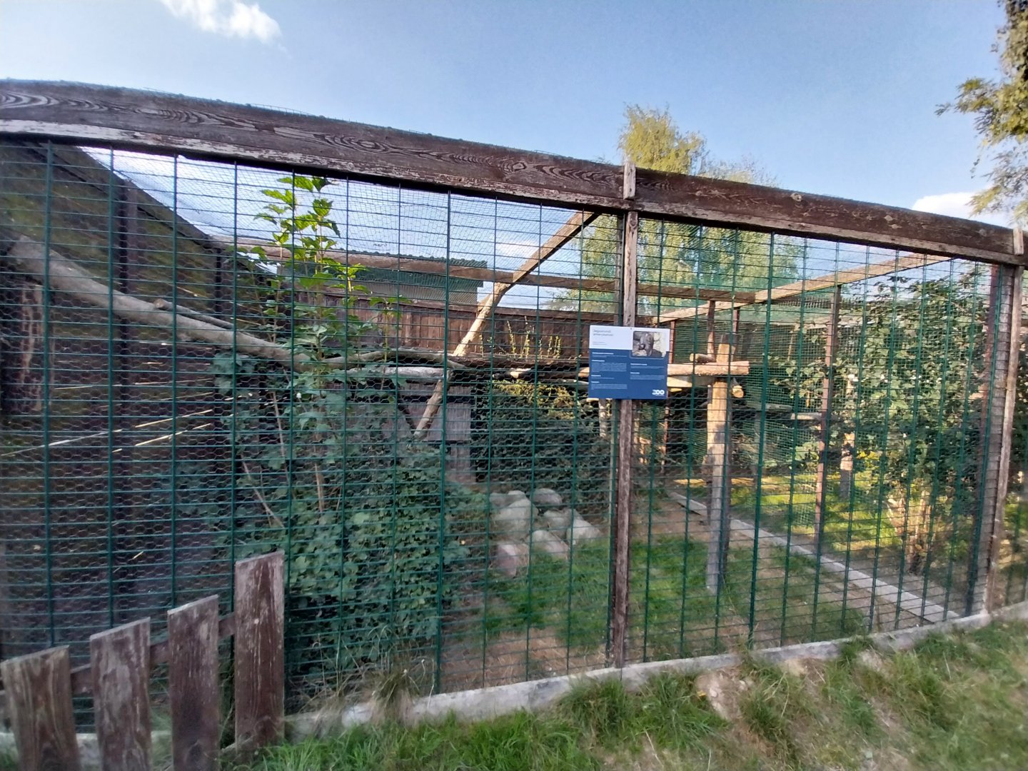 Wojciechow Zoo - Jaguarundi enclosure