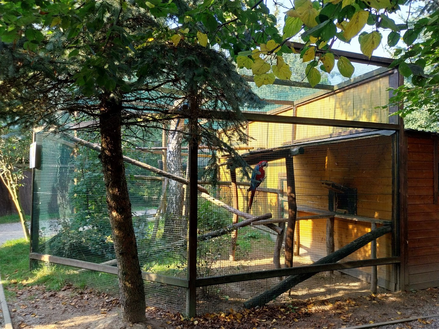 Wojciechow Zoo - Macaw aviary