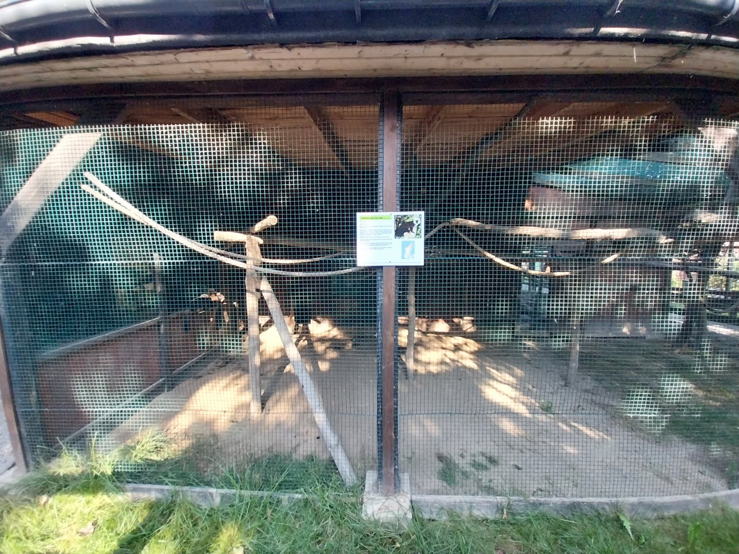 Wojciechow Zoo - White-fronted lemur enclosure