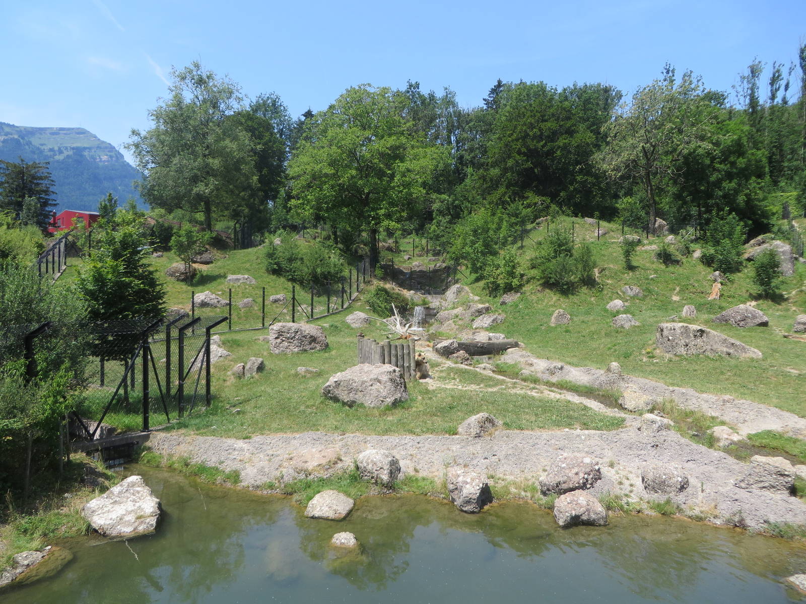 Wolf and bear enclosure