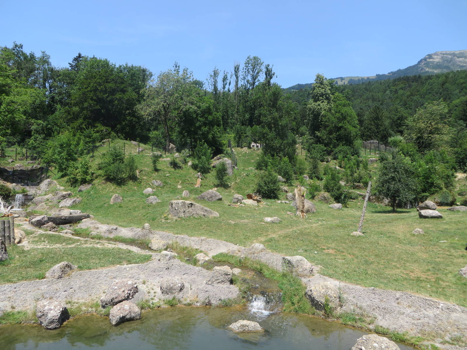 Wolf and bear enclosure