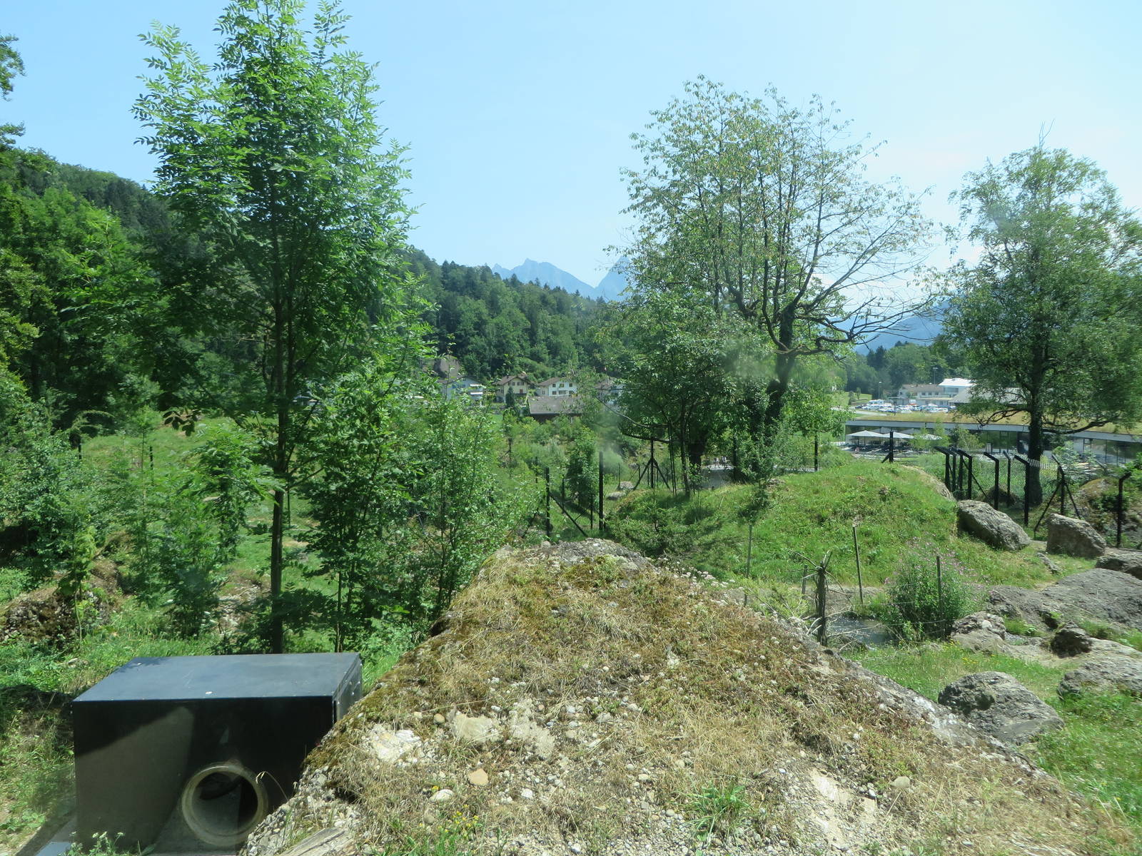 Wolf and bear enclosure