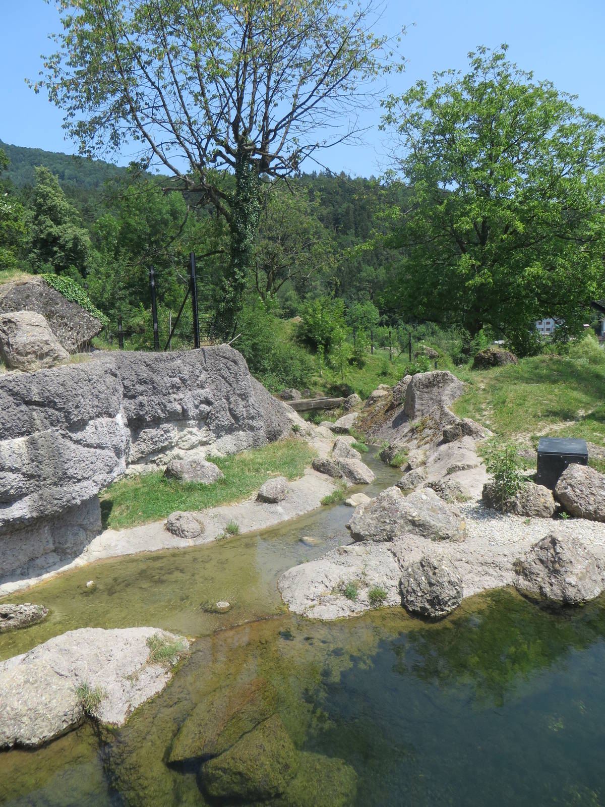 Wolf and bear enclosure