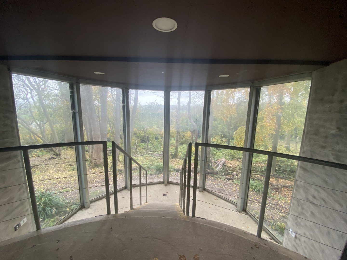 Wolf and brown bear viewing area