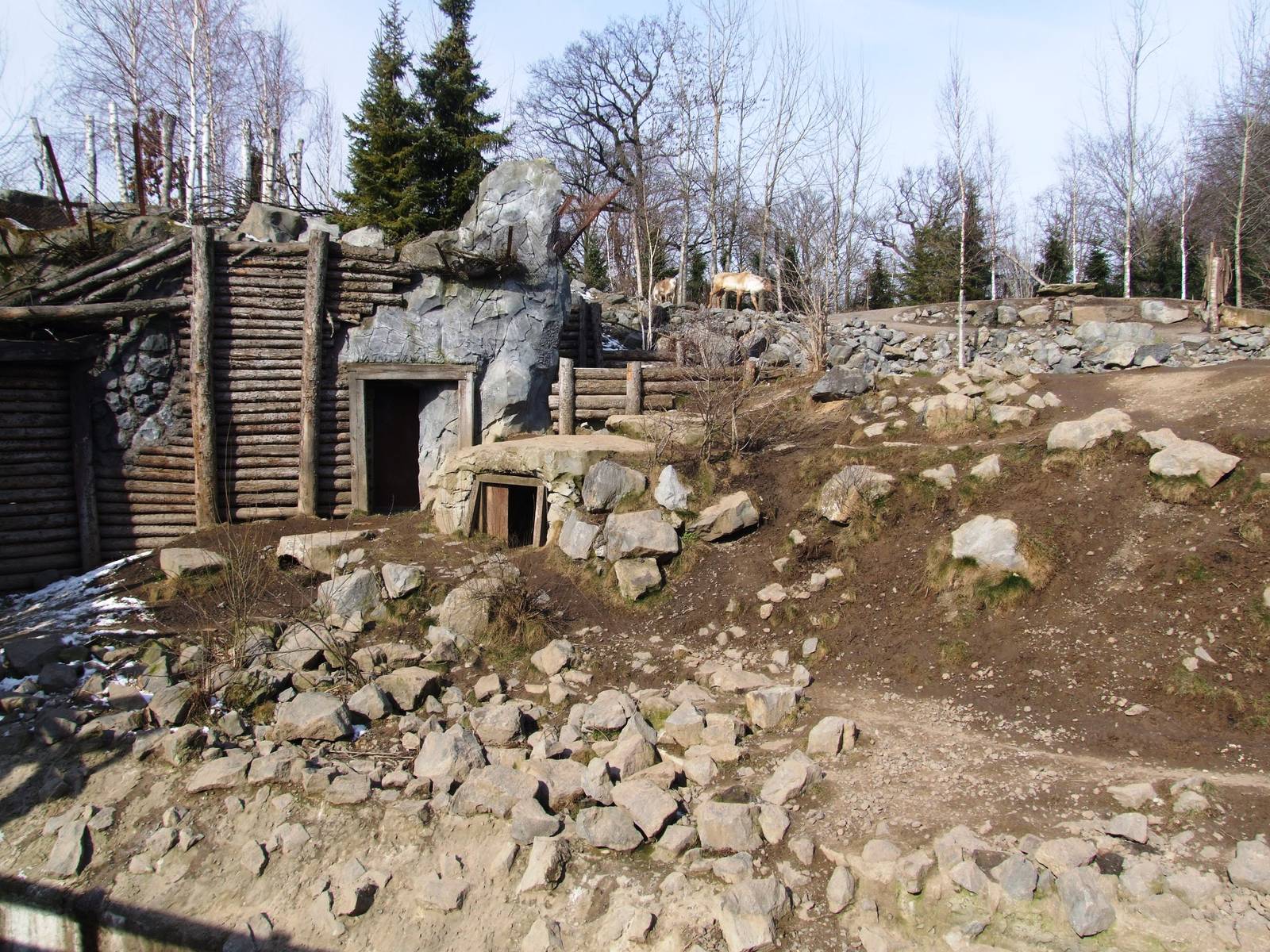 Wolf and Caribou Exhibits at Hannover, 23/03/13