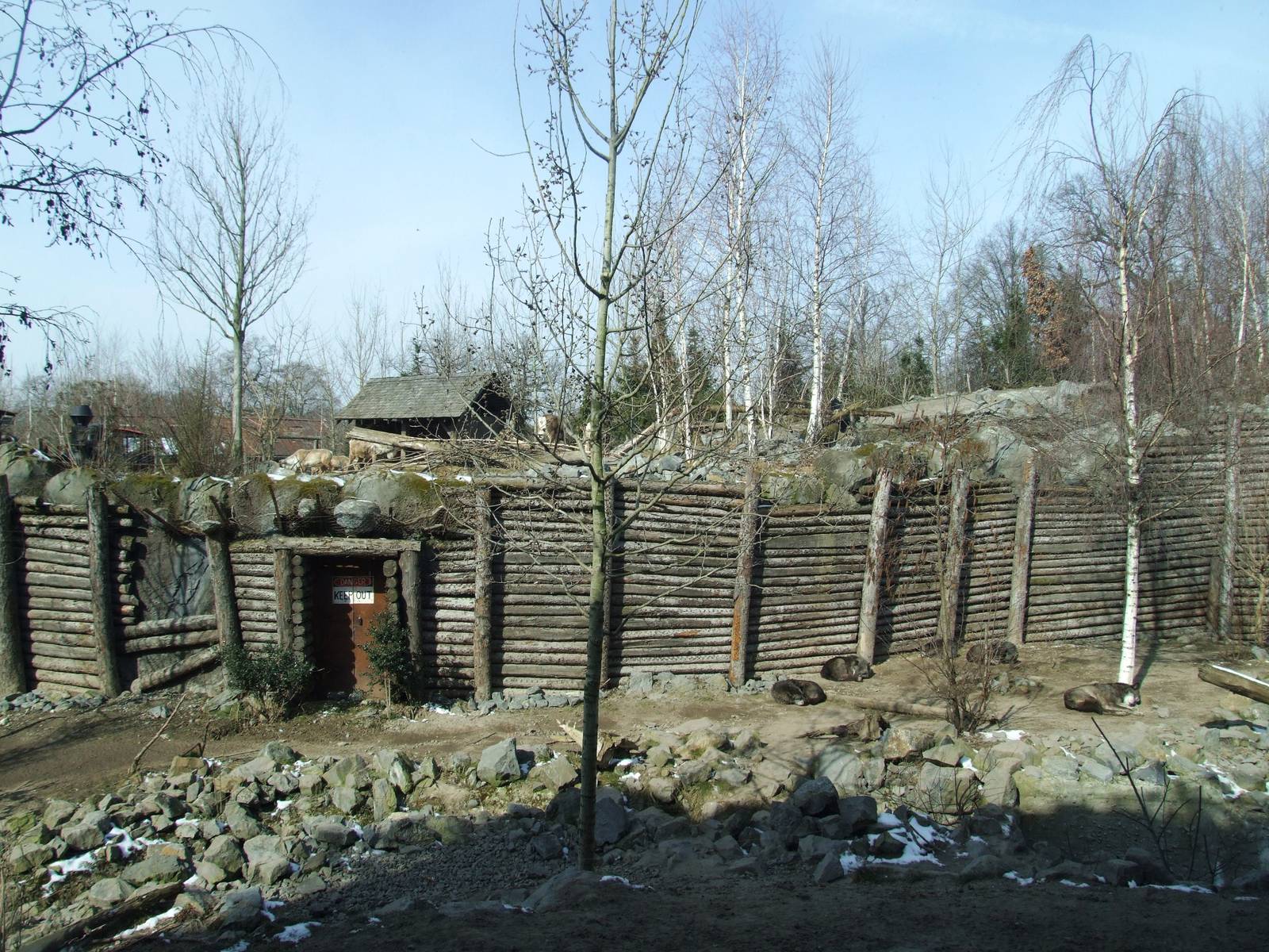 Wolf and Caribou Exhibits at Hannover, 23/03/13