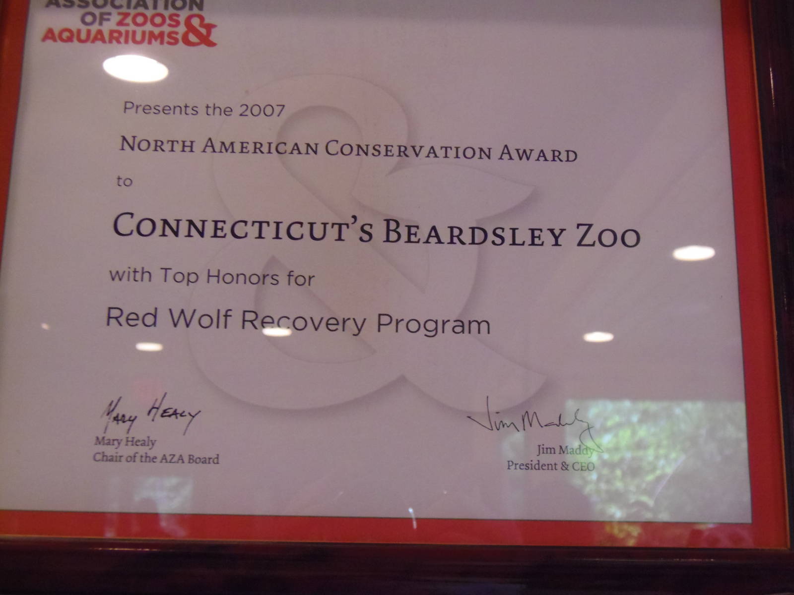 WOLF- And the Award Goes To...