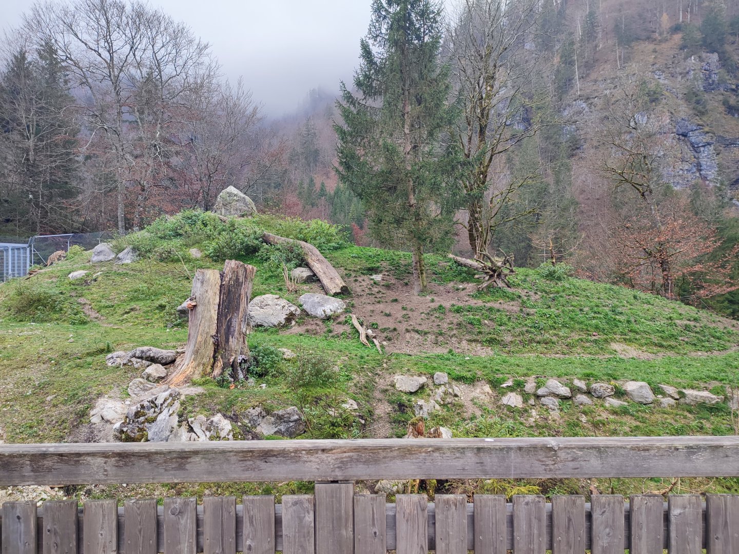 Wolf/Brown bear enclosure 1 - Wildpark Grünau/Cumberland
