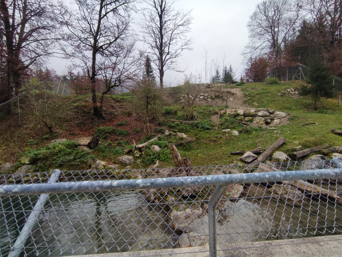 Wolf/Brown bear enclosure 1 - Wildpark Grünau/Cumberland