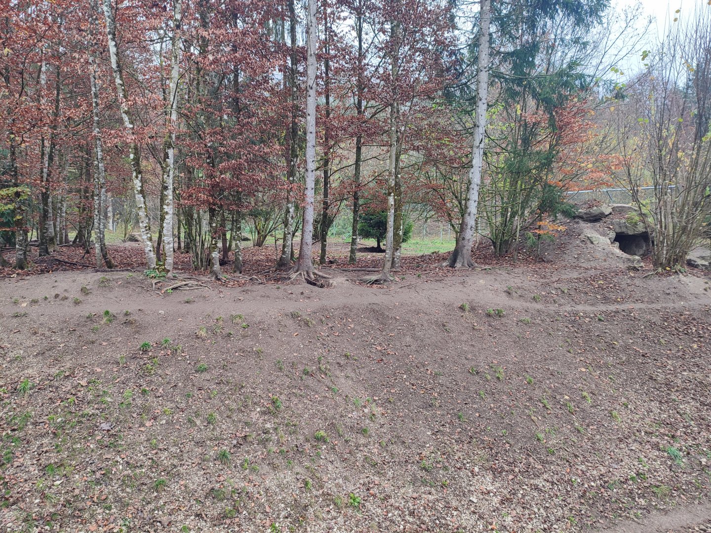 Wolf/Brown bear enclosure 2 - Wildpark Grünau/Cumberland