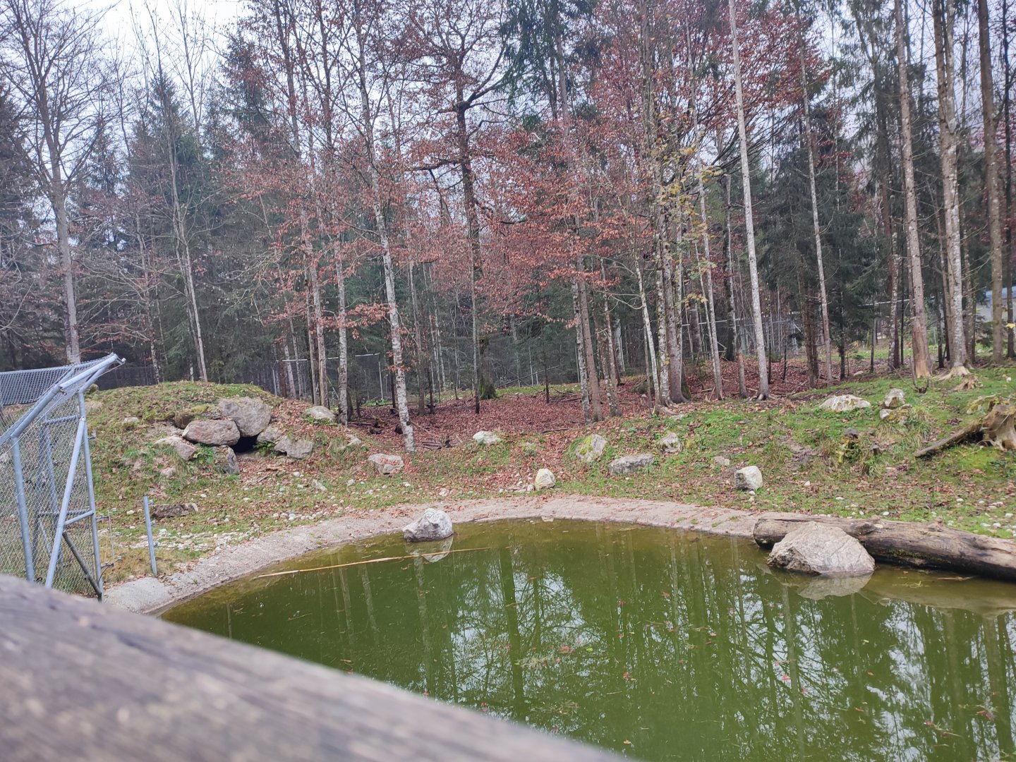 Wolf/Brown bear enclosure 3 - Wildpark Grünau/Cumberland