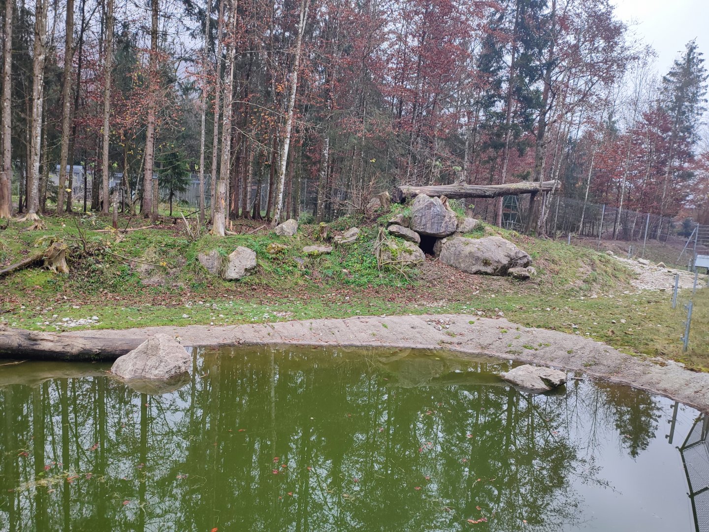 Wolf/Brown bear enclosure 3 - Wildpark Grünau/Cumberland