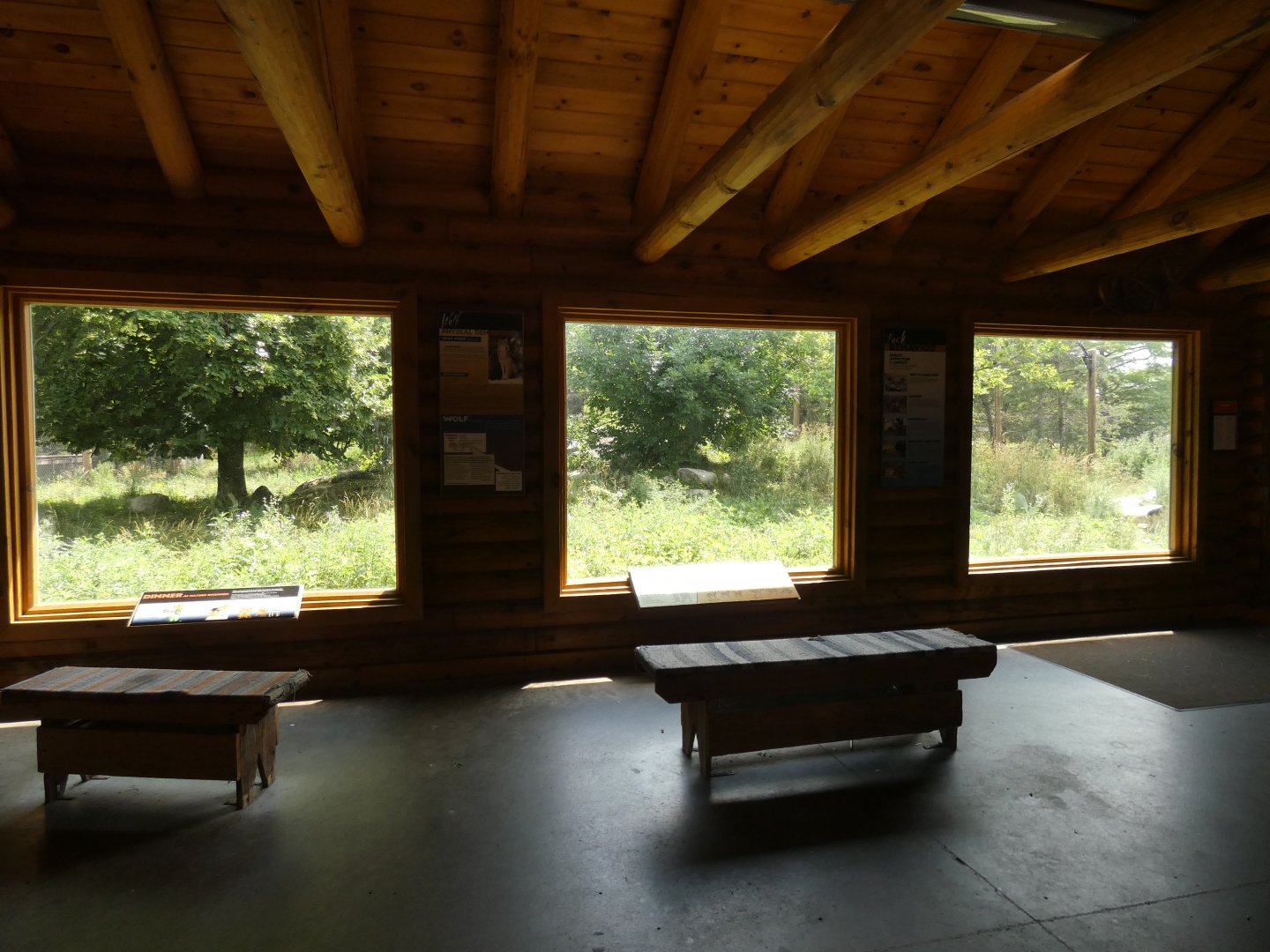 Wolf Cabin, Arctic Encounter - July 2021