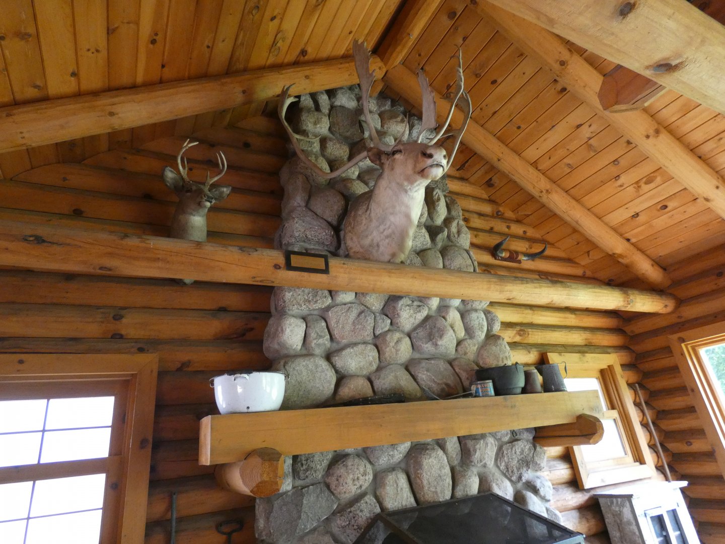 Wolf Cabin, Arctic Encounter - July 2021