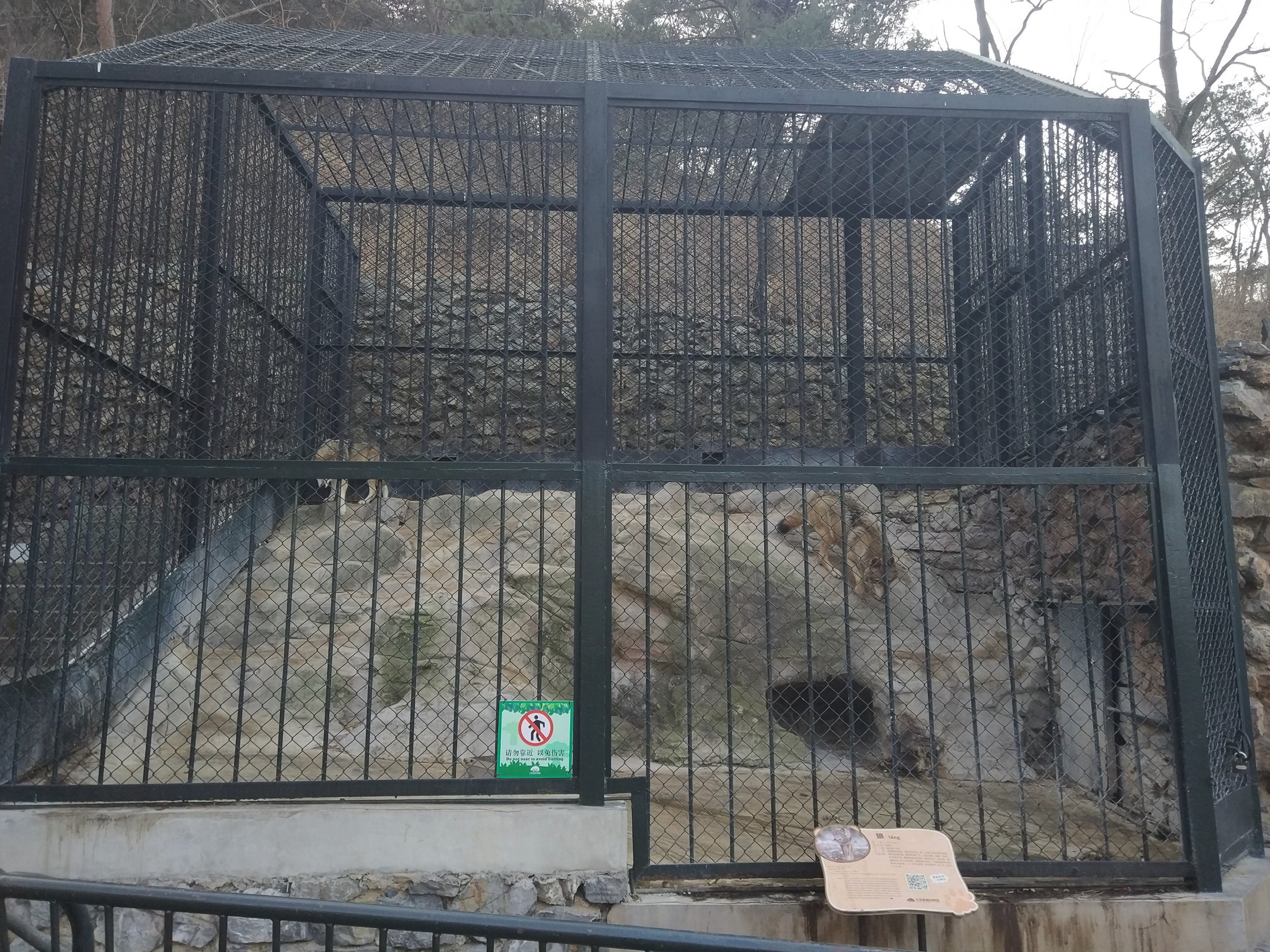 Wolf Cage