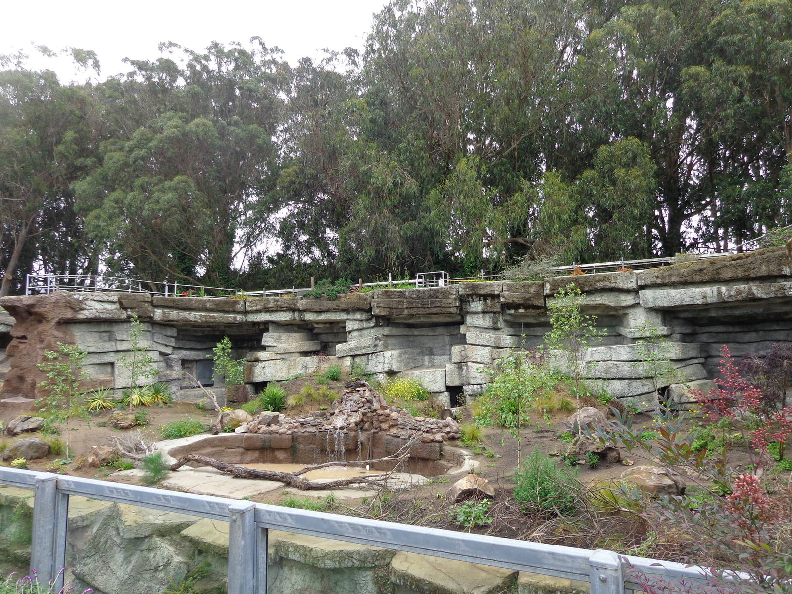 Wolf Canyon: East End