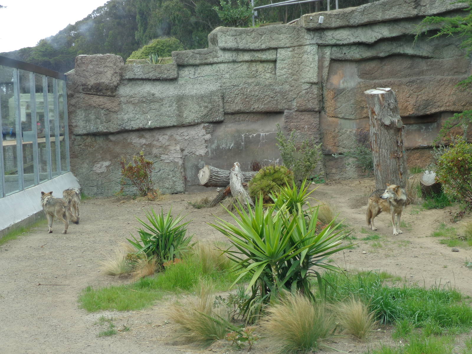 Wolf Canyon: West End