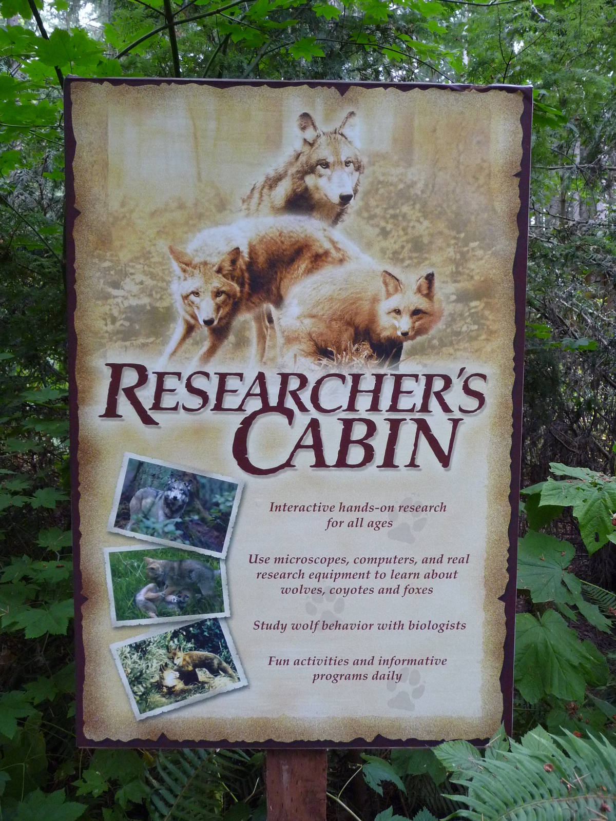 Wolf/Coyote/Red Fox Signage