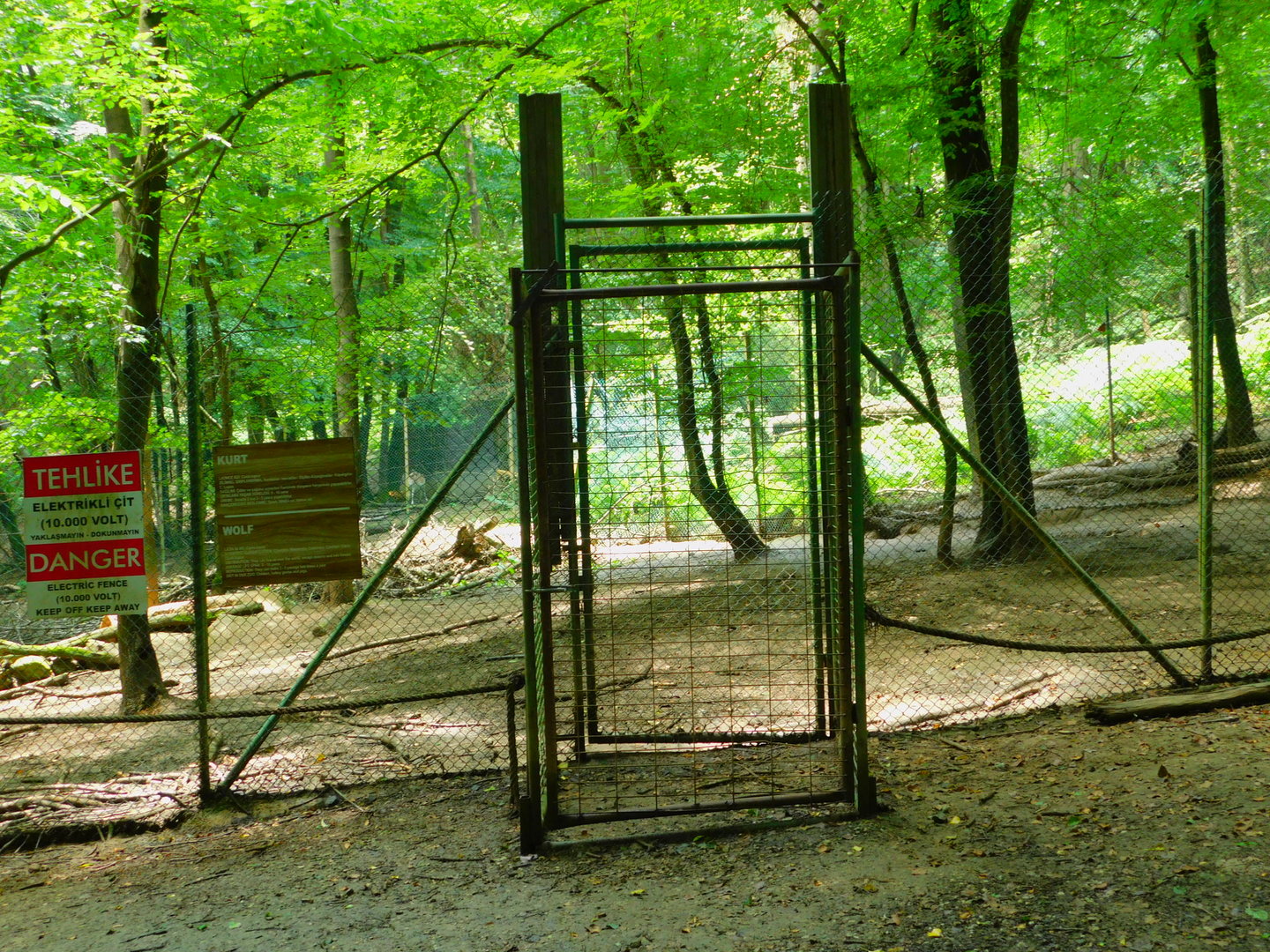 Wolf(dog?) Enclosure