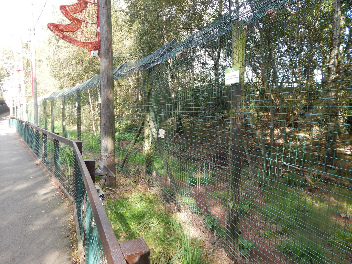 Wolf enclosure 200922
