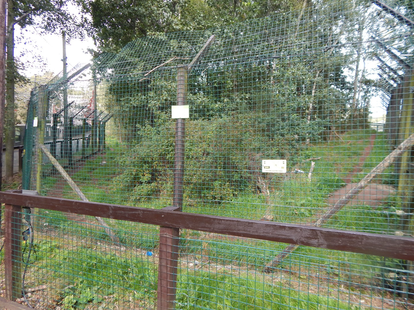 Wolf enclosure 200922