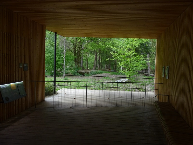 Wolf enclosure and observation hut