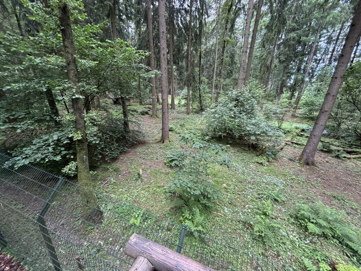 Wolf Enclosure at Wildpark Poing