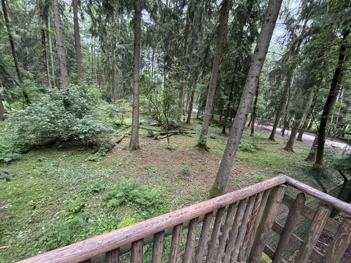 Wolf Enclosure at Wildpark Poing