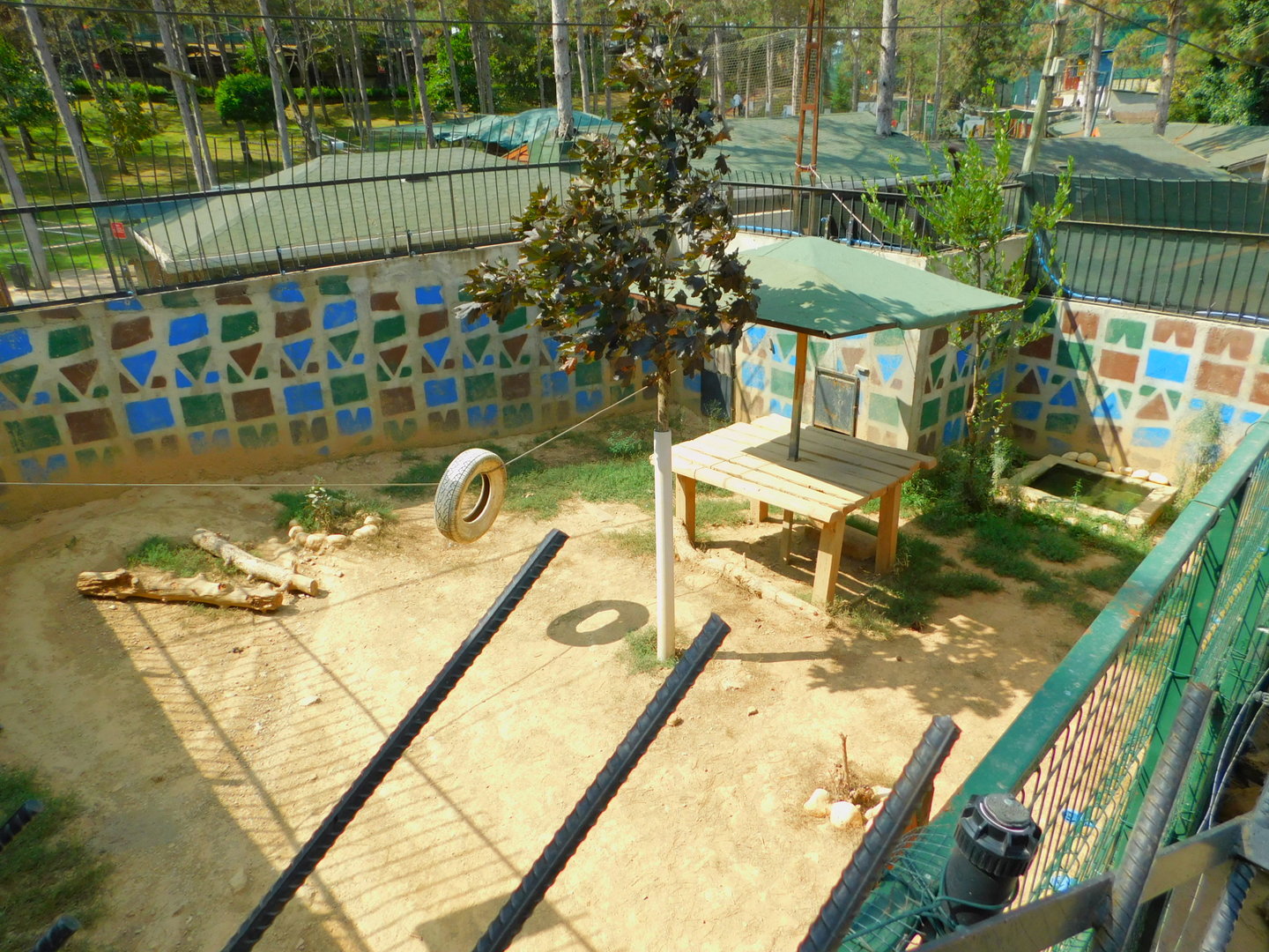 Wolf Enclosure ay Park Of Istanbul