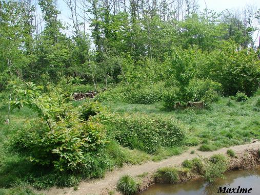 Wolf enclosure - La Boissière du Doré