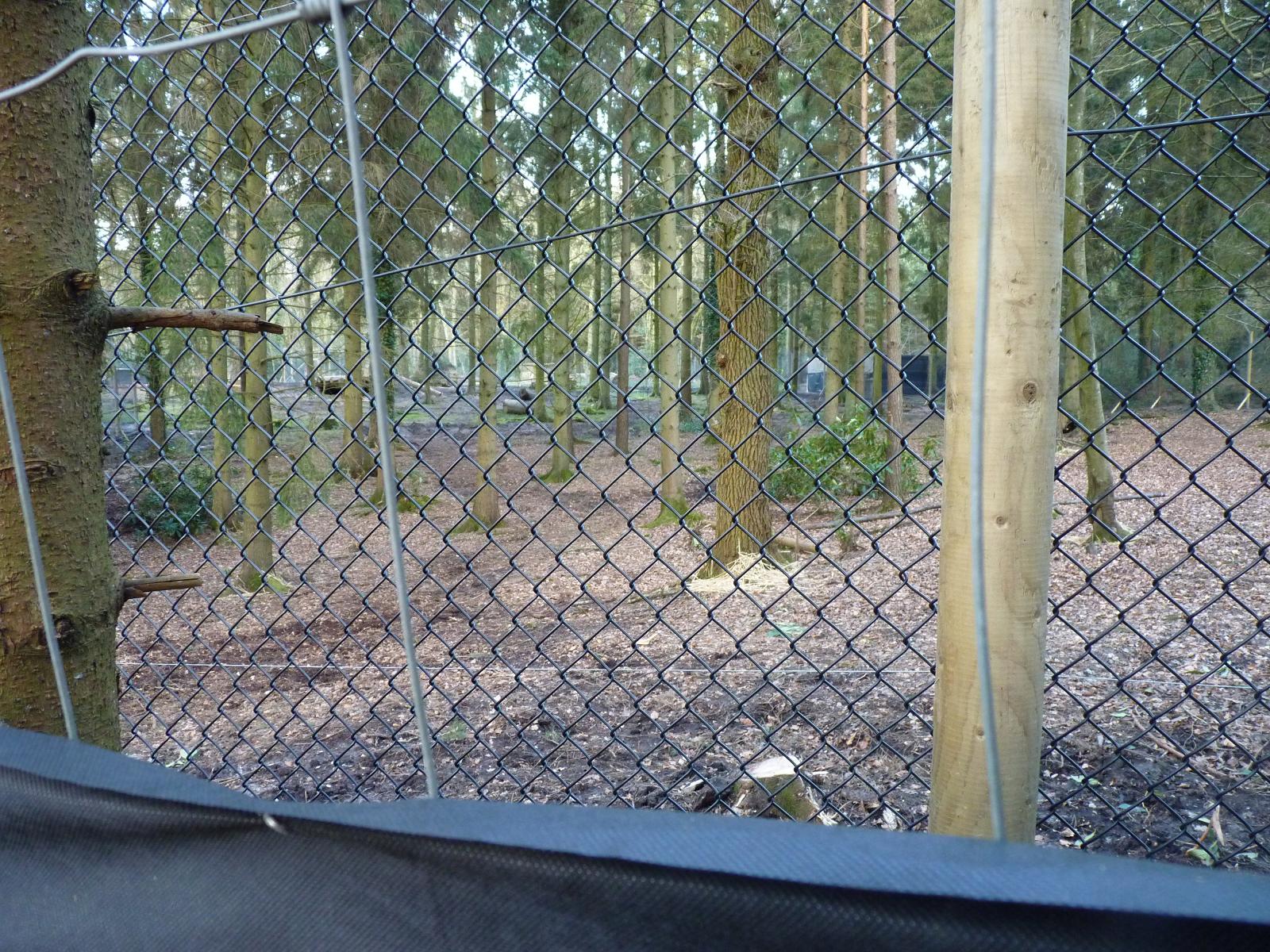 Wolf Enclosure - Now Complete