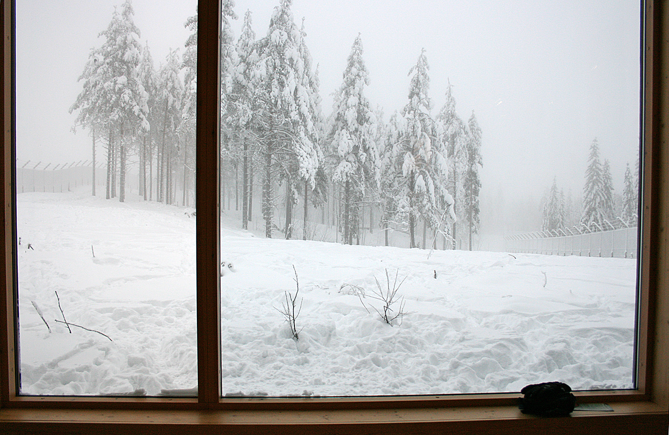 Wolf enclosure - Orsa Bearpark