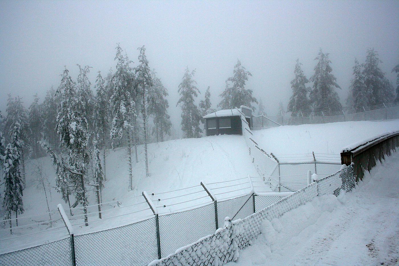 Wolf enclosure - Orsa Bearpark