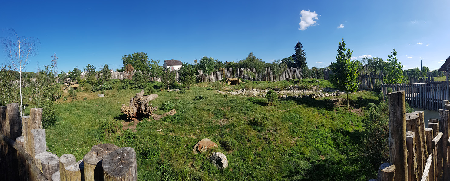 Wolf enclosure panorama