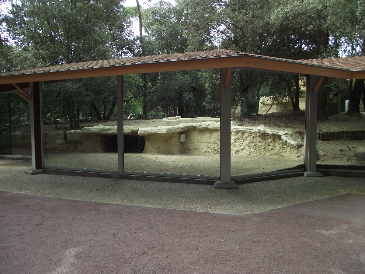 Wolf Enclosure Viewing