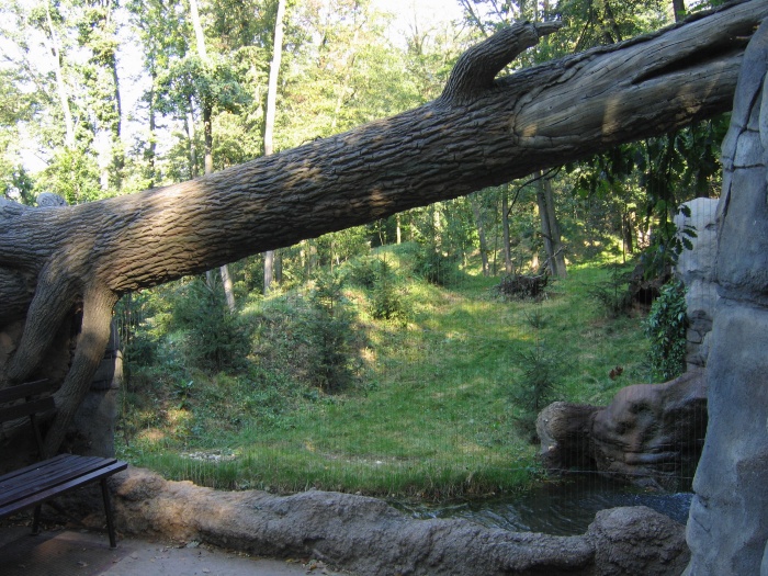 Wolf enclosure @ zoo Brno