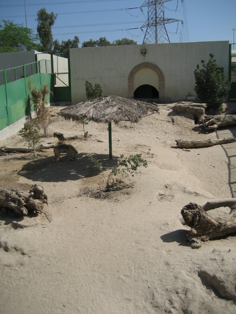 Wolf Enclosure