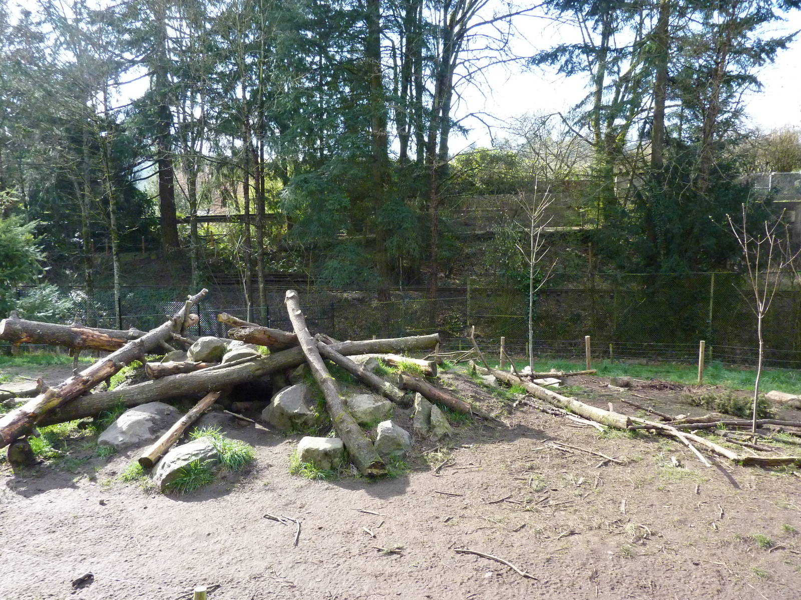 Wolf Enclosure