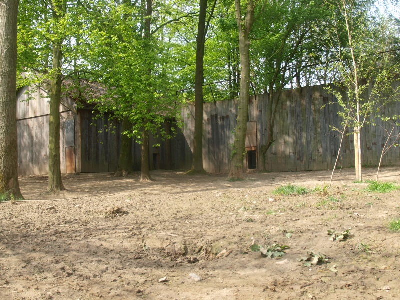 Wolf exhibit and building (May 2nd, 2015)