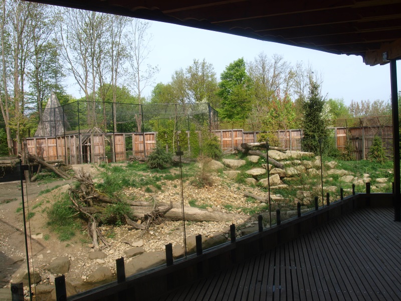 Wolf exhibit and viewing area (May 2nd, 2015)