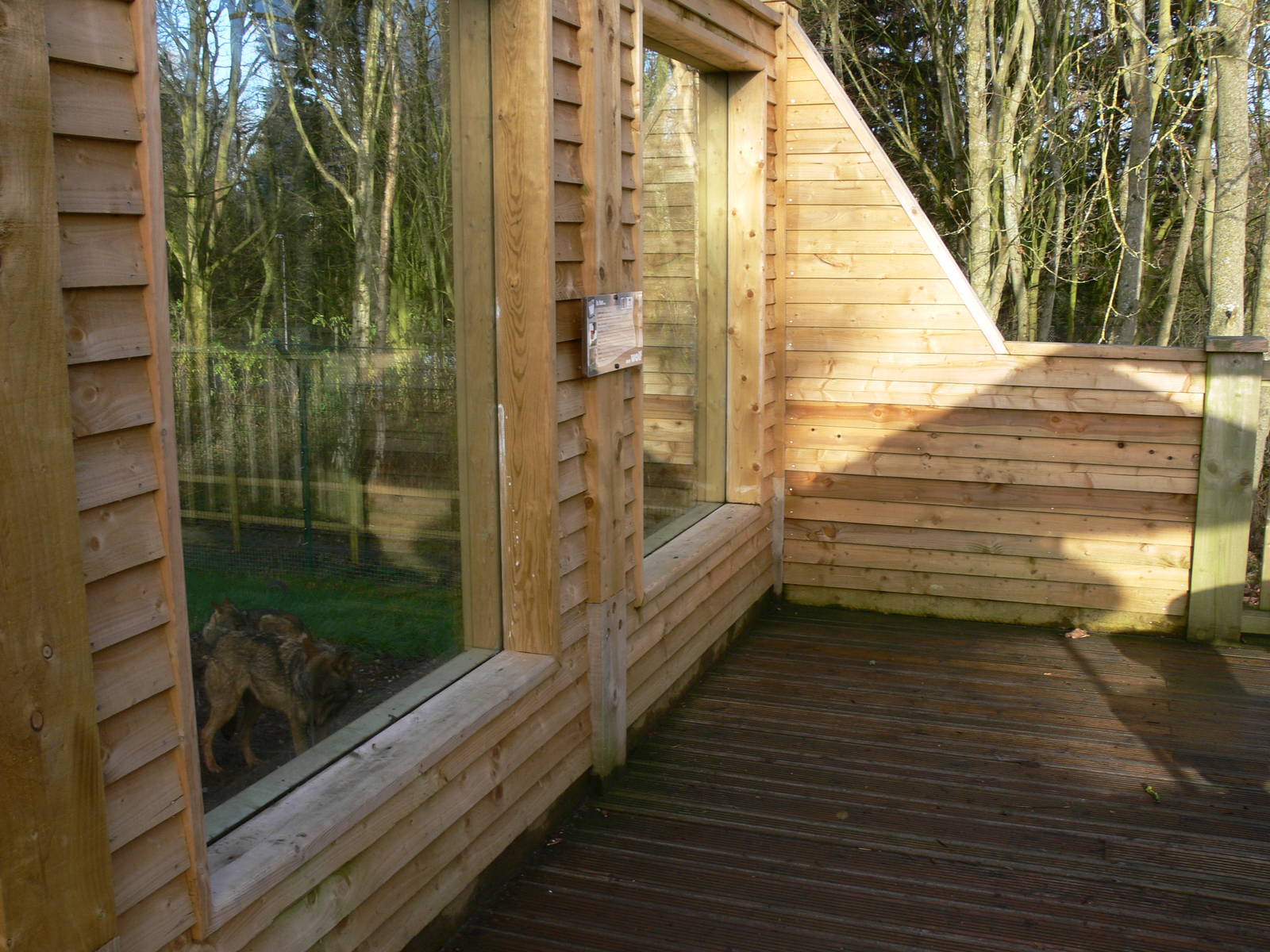 Wolf exhibit at Blackpool Zoo, 09/12/12