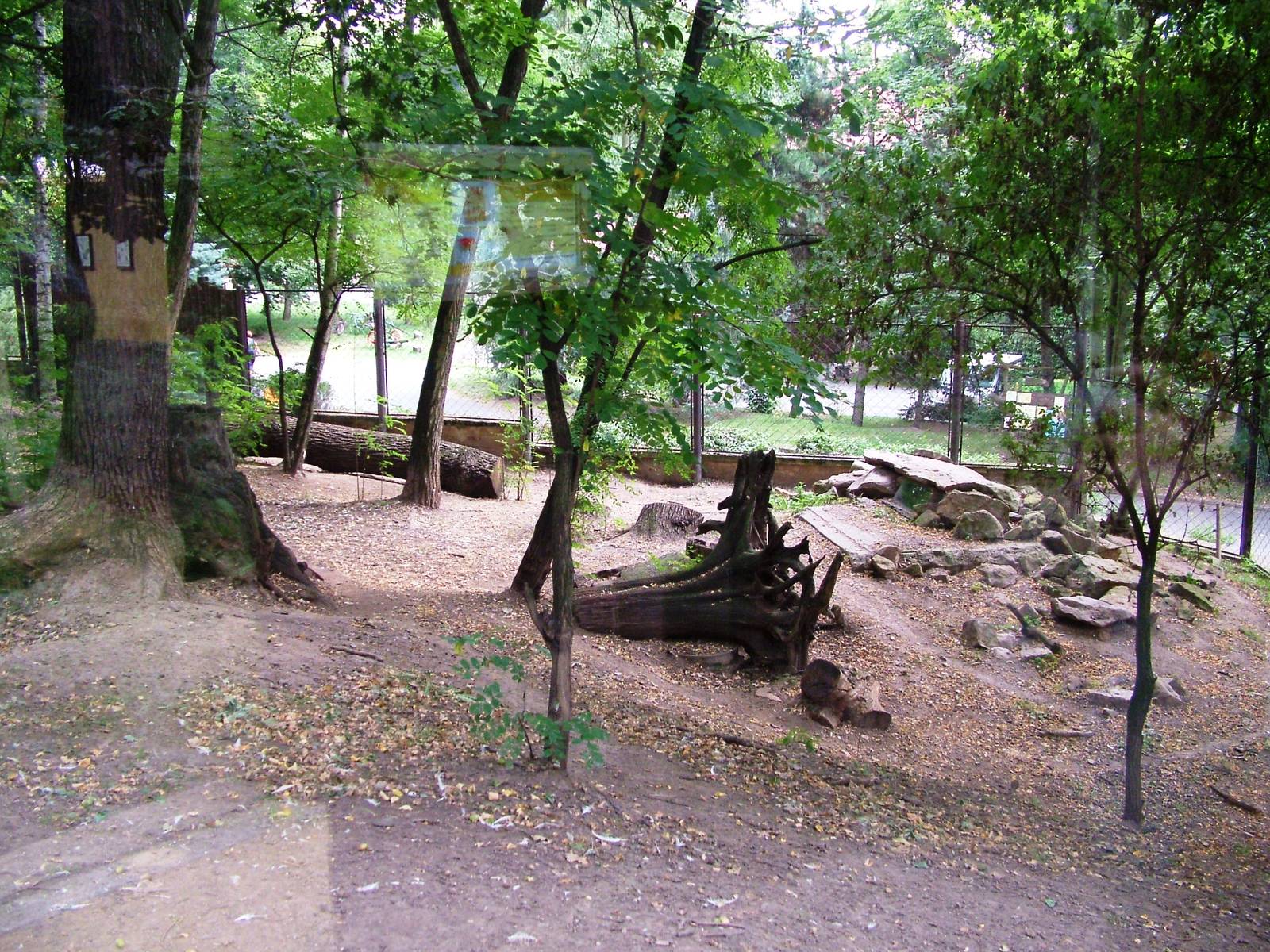 Wolf Exhibit at Chomutov, 30/08/12