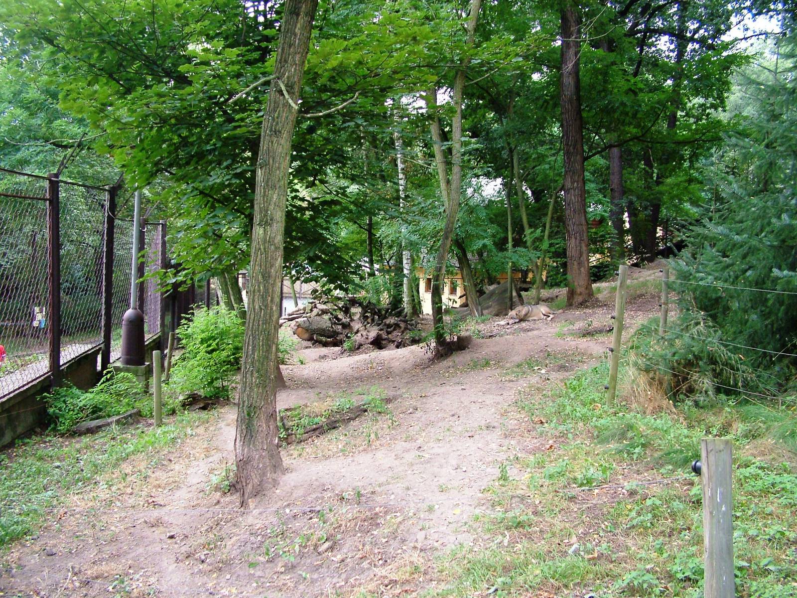 Wolf Exhibit at Chomutov, 30/08/12