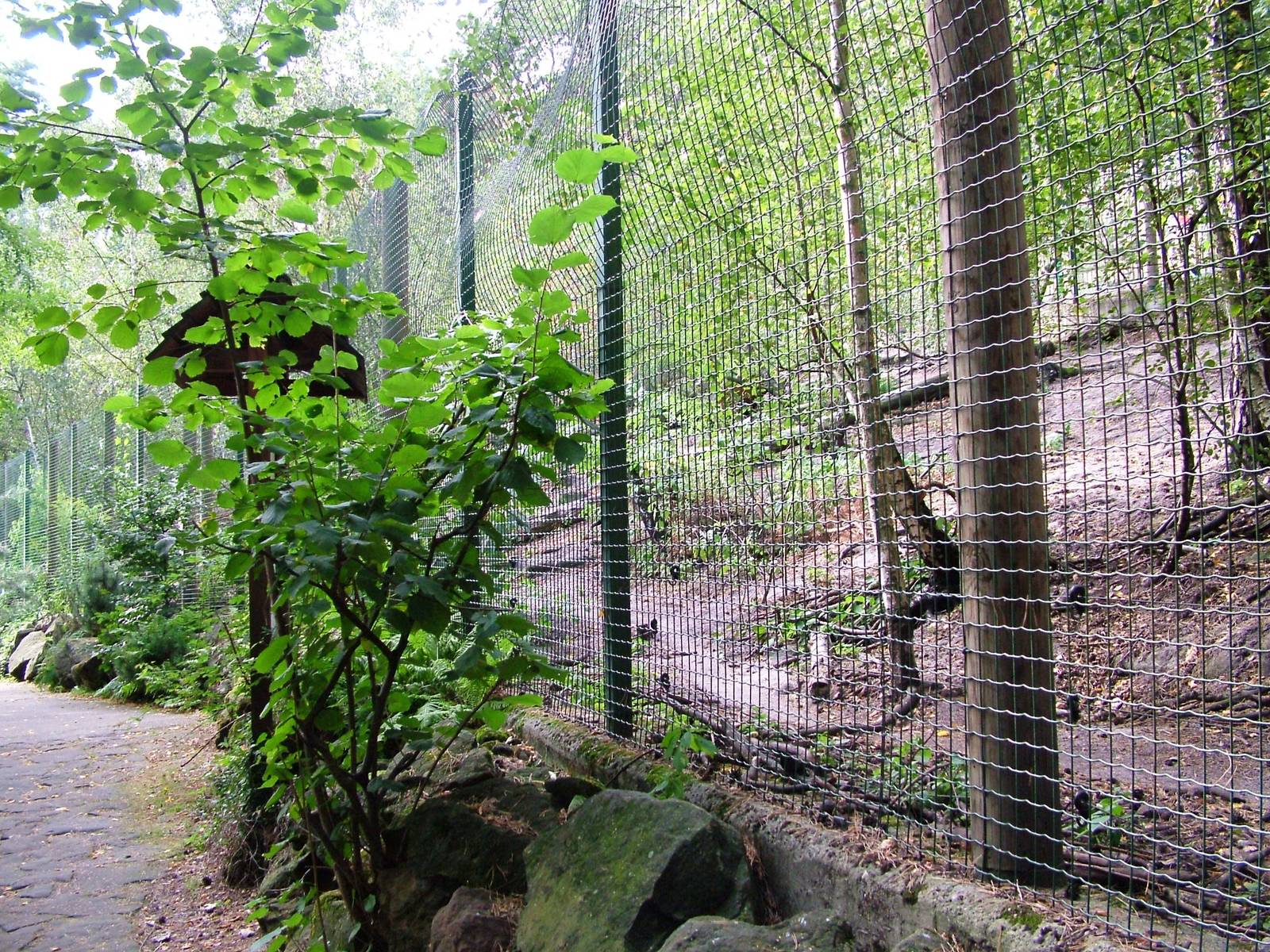 Wolf Exhibit at Decin, 28/08/12