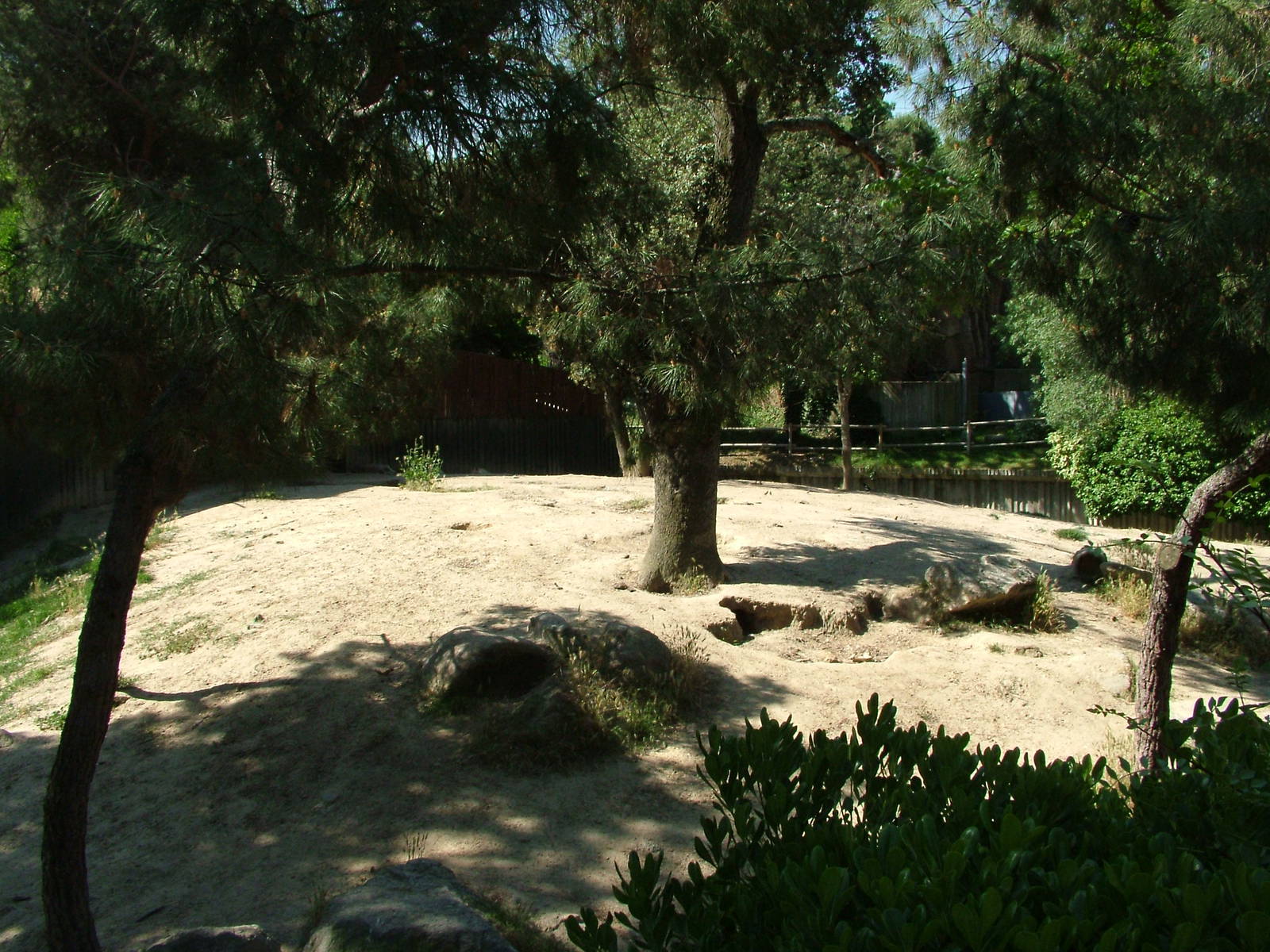 Wolf Exhibit at Madrid Zoo Aquarium, 26/05/11
