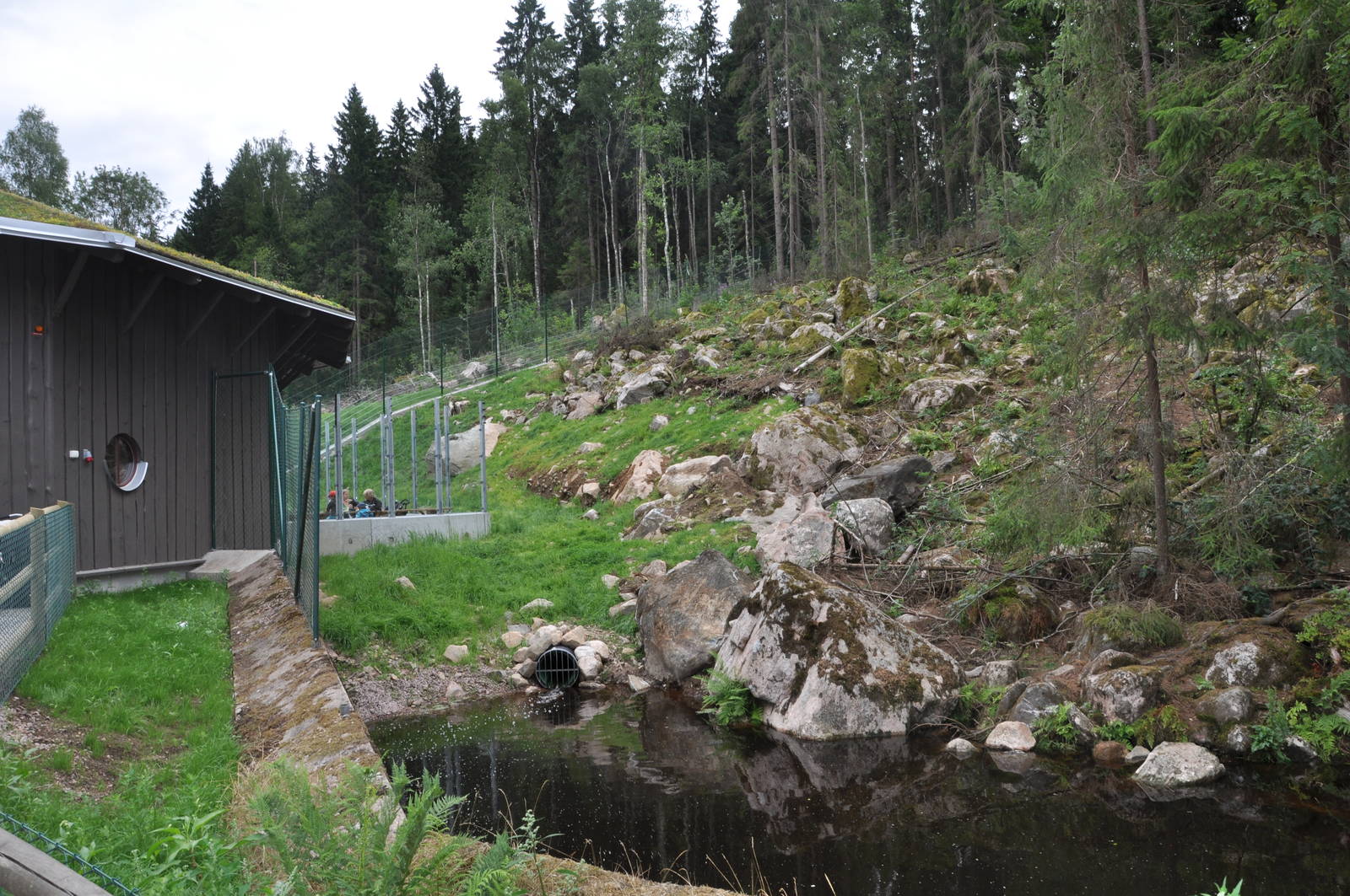Wolf exhibit -Borås Zoo