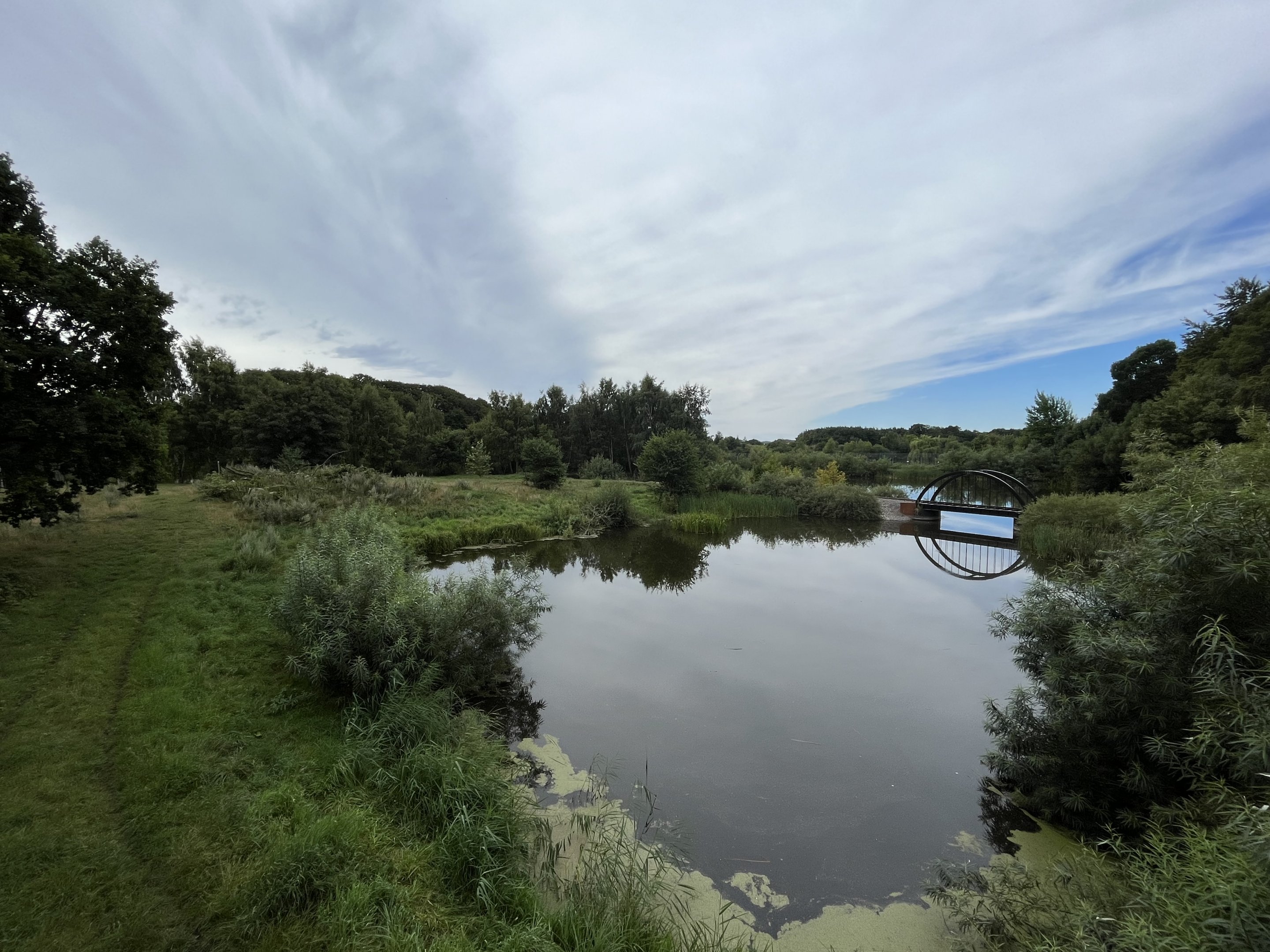 Wolf Exhibit - enormous!