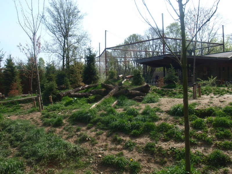 Wolf exhibit (May 2nd, 2015)